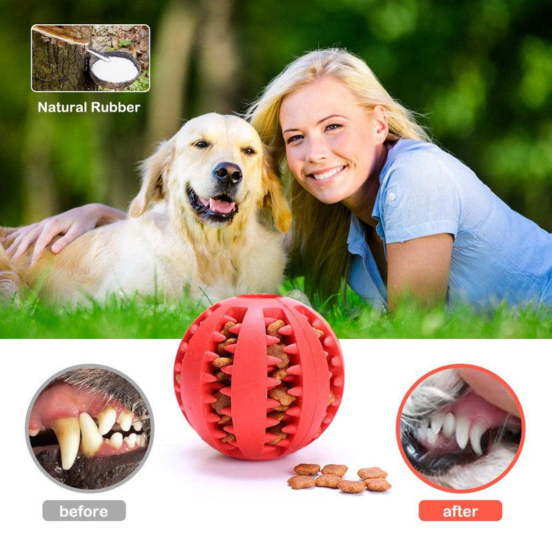 Bola de Petisco Brinquedo Interativo Para Cães - Fasho