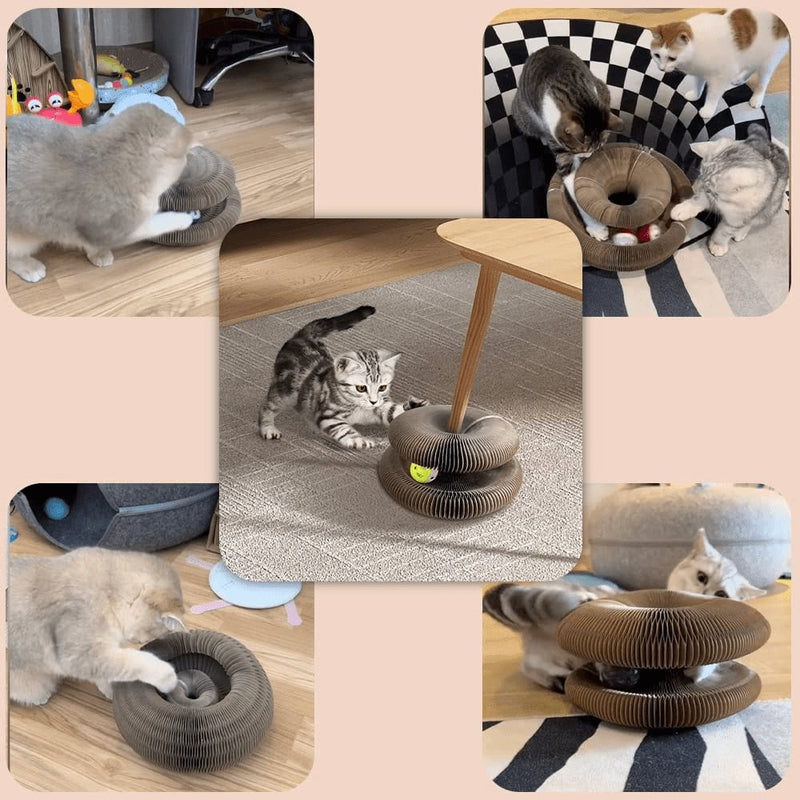 Brinquedo Interativo Para Gatos - Fasho