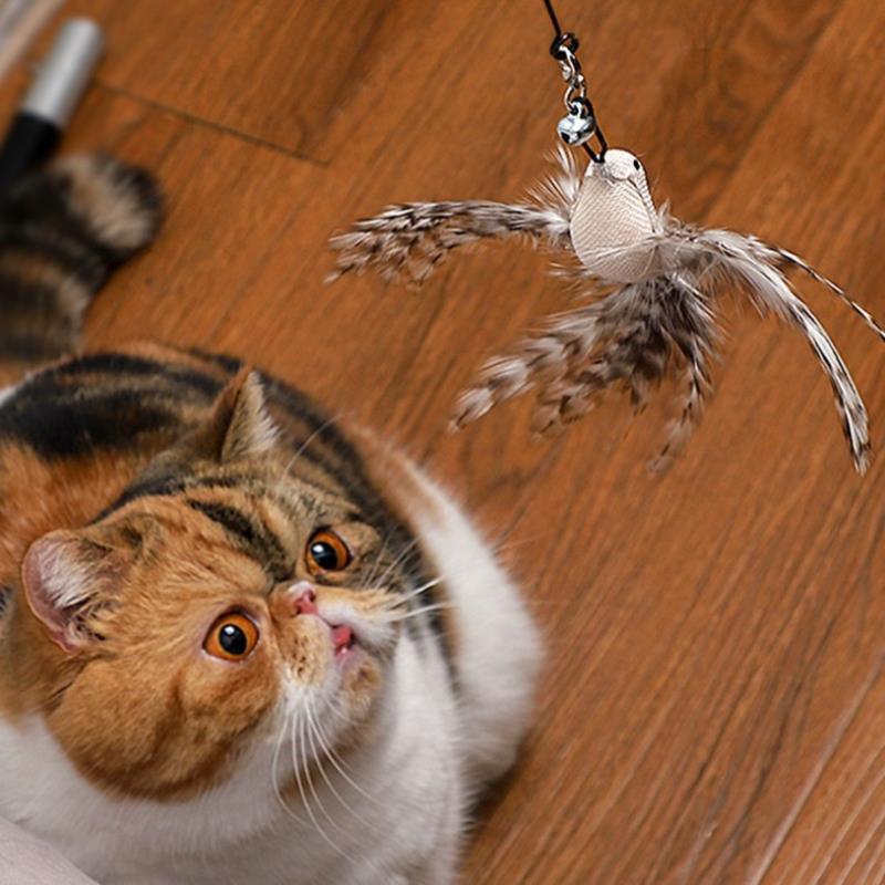 Brinquedo Interativo para Gatos - Bird fly - Fasho