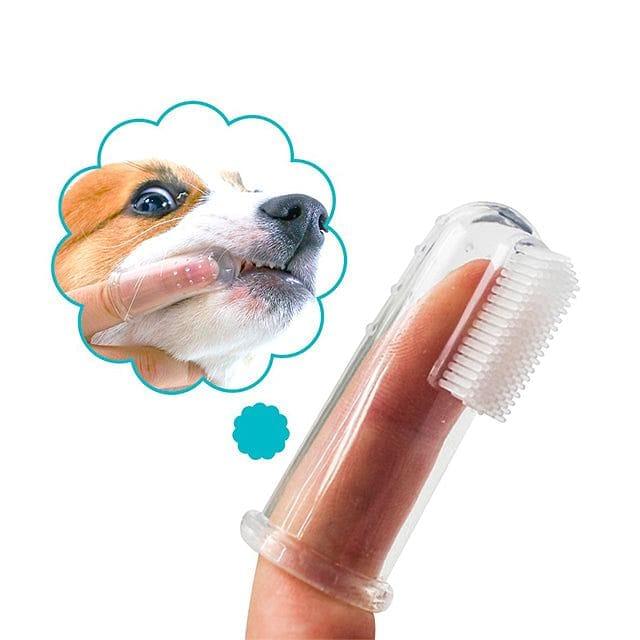 Escova De Dentes Para Cães e Gato - Fasho