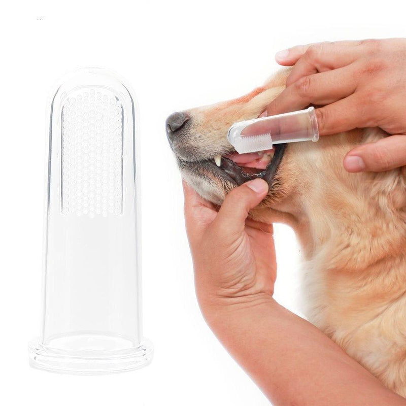 Escova De Dentes Para Cães e Gato - Fasho