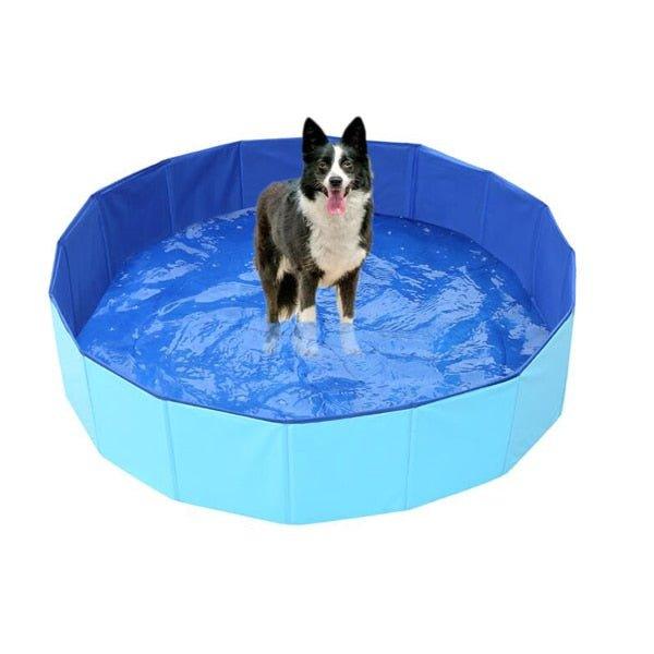 Piscina Resistente Para Pet - Fasho